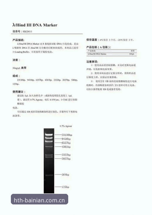 苹果iOS官方认证首页下载怎么样 雷吉亚纳引援深度评测:奥格贝德能否借HTH华体会体育完成逆袭?